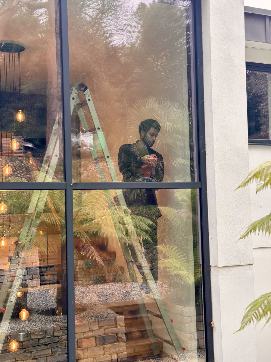 internal window cleaning