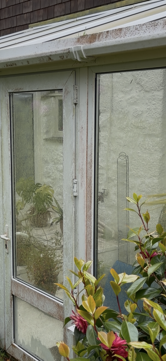 algae infested windows